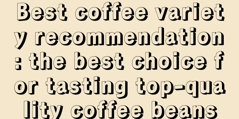 Best coffee variety recommendation: the best choice for tasting top-quality coffee beans