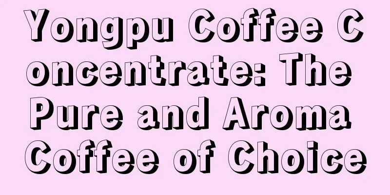 Yongpu Coffee Concentrate: The Pure and Aroma Coffee of Choice