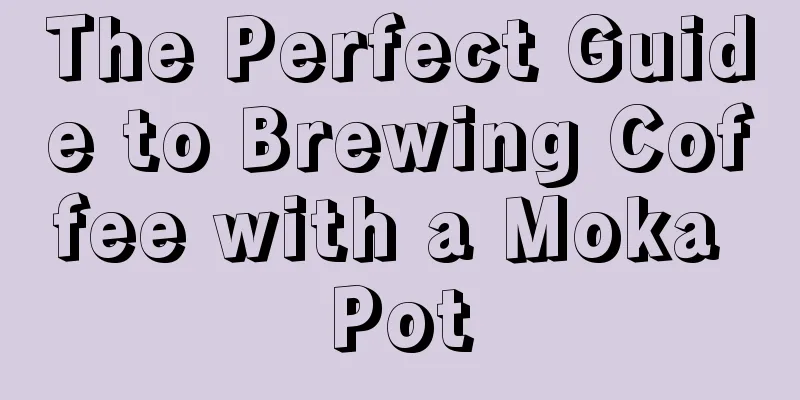 The Perfect Guide to Brewing Coffee with a Moka Pot