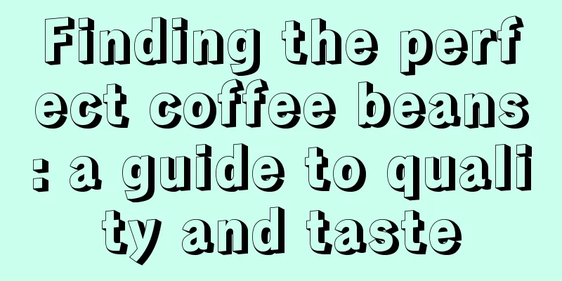 Finding the perfect coffee beans: a guide to quality and taste