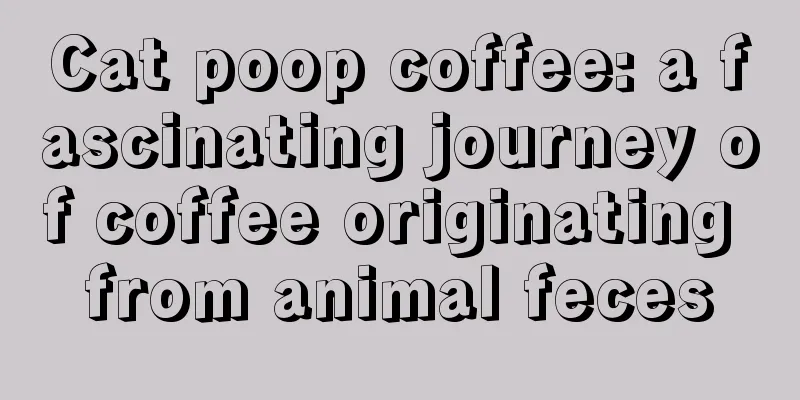 Cat poop coffee: a fascinating journey of coffee originating from animal feces