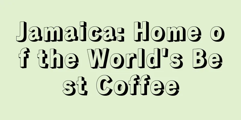 Jamaica: Home of the World's Best Coffee