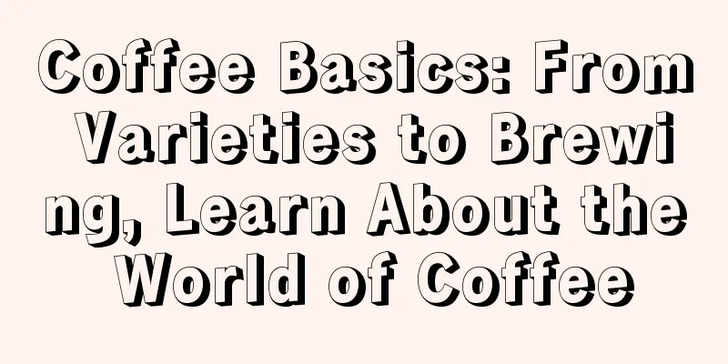 Coffee Basics: From Varieties to Brewing, Learn About the World of Coffee