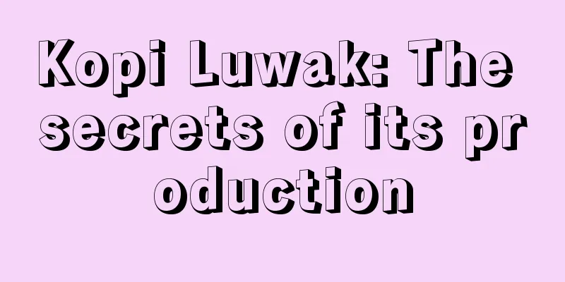 Kopi Luwak: The secrets of its production