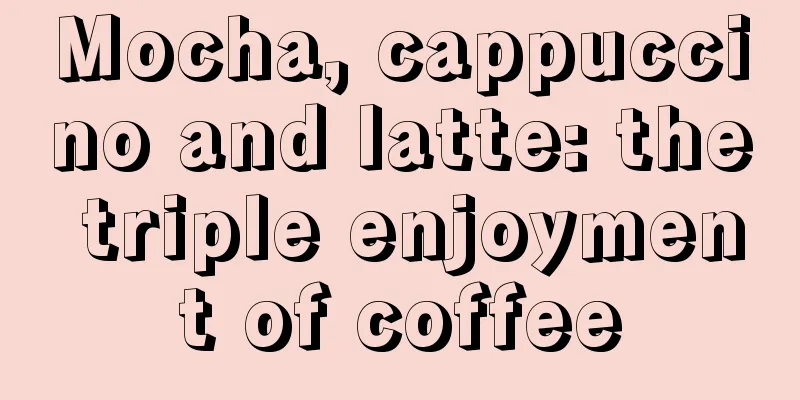 Mocha, cappuccino and latte: the triple enjoyment of coffee