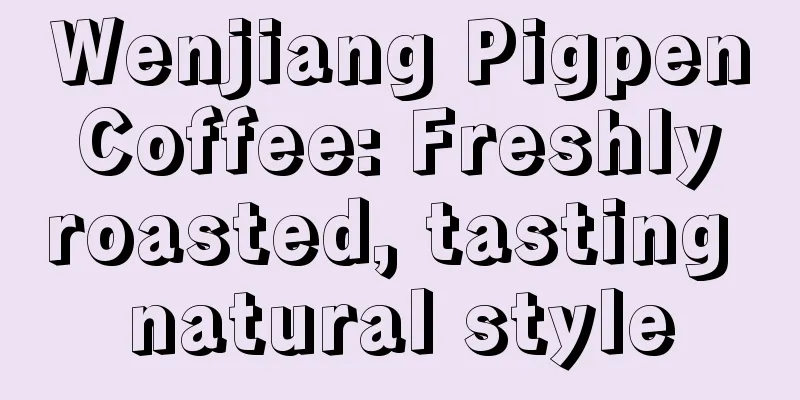 Wenjiang Pigpen Coffee: Freshly roasted, tasting natural style