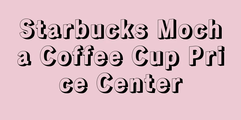 Starbucks Mocha Coffee Cup Price Center