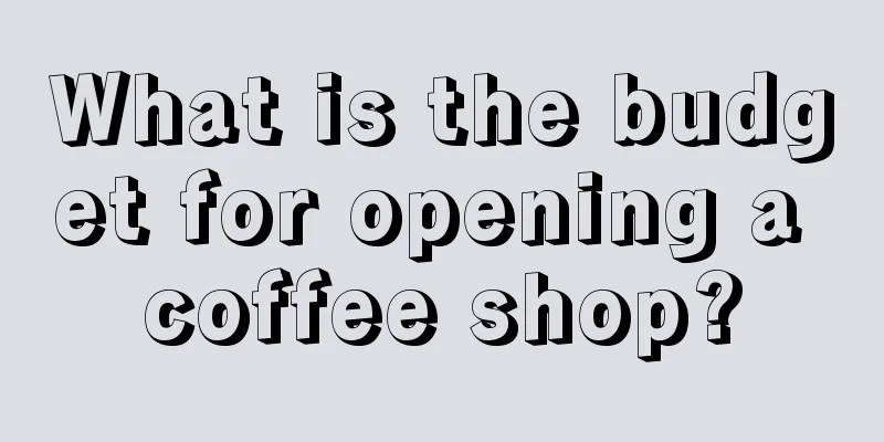 What is the budget for opening a coffee shop?