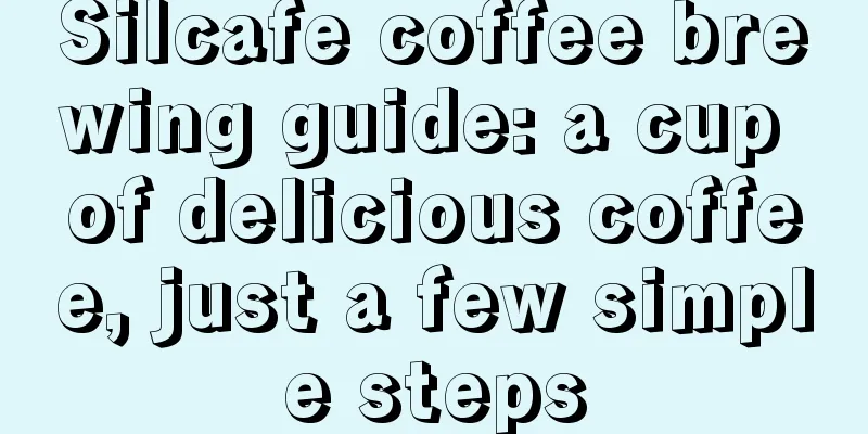 Silcafe coffee brewing guide: a cup of delicious coffee, just a few simple steps