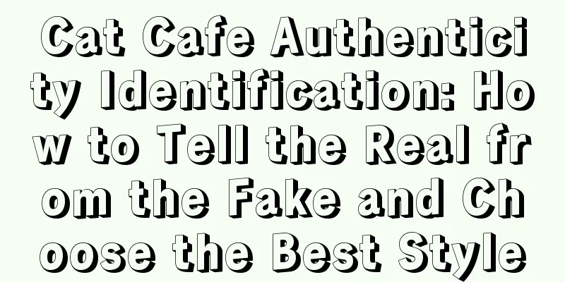 Cat Cafe Authenticity Identification: How to Tell the Real from the Fake and Choose the Best Style