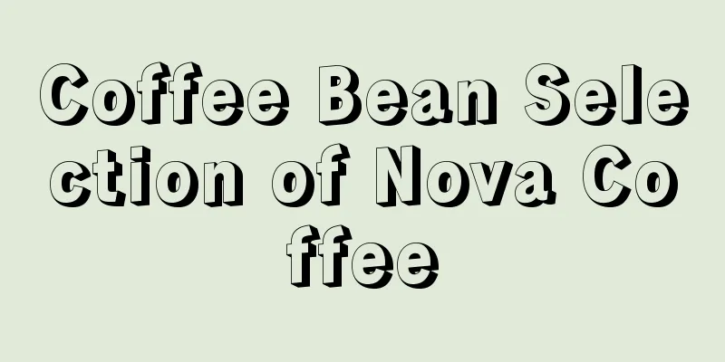 Coffee Bean Selection of Nova Coffee