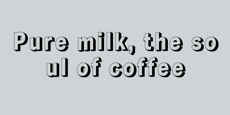 Pure milk, the soul of coffee