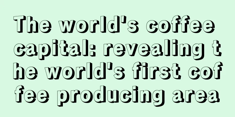 The world's coffee capital: revealing the world's first coffee producing area