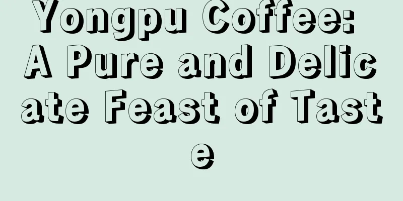 Yongpu Coffee: A Pure and Delicate Feast of Taste