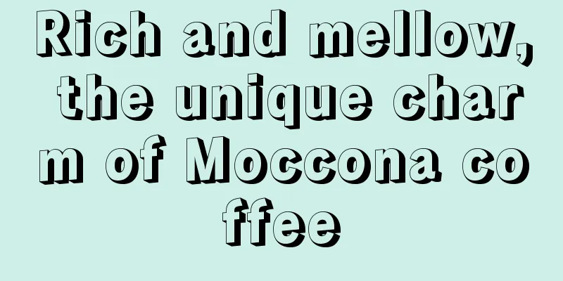 Rich and mellow, the unique charm of Moccona coffee