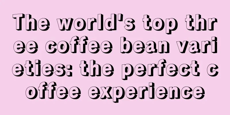 The world's top three coffee bean varieties: the perfect coffee experience