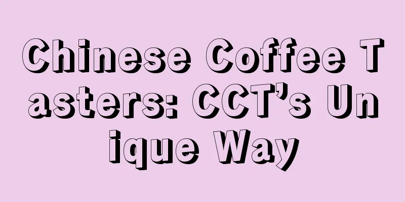 Chinese Coffee Tasters: CCT’s Unique Way