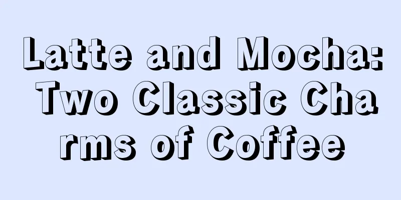 Latte and Mocha: Two Classic Charms of Coffee