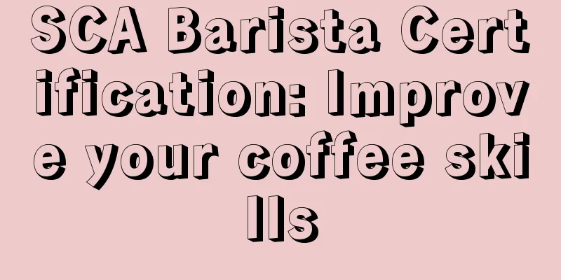 SCA Barista Certification: Improve your coffee skills