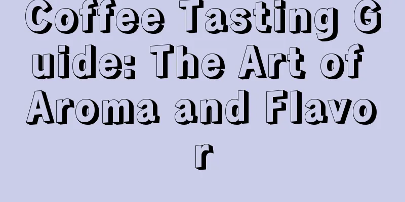 Coffee Tasting Guide: The Art of Aroma and Flavor