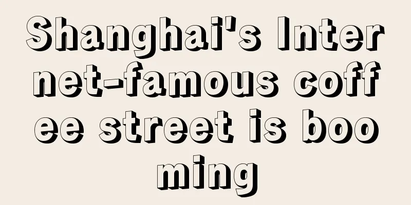 Shanghai's Internet-famous coffee street is booming