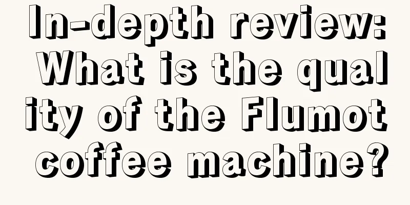 In-depth review: What is the quality of the Flumot coffee machine?