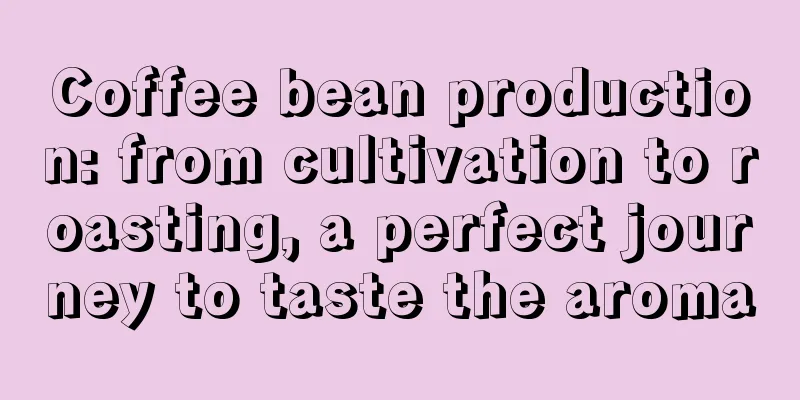 Coffee bean production: from cultivation to roasting, a perfect journey to taste the aroma