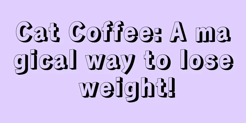 Cat Coffee: A magical way to lose weight!