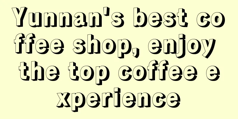 Yunnan's best coffee shop, enjoy the top coffee experience