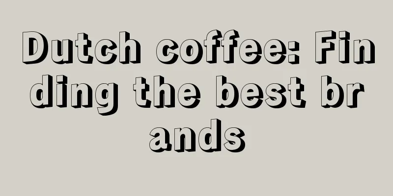 Dutch coffee: Finding the best brands