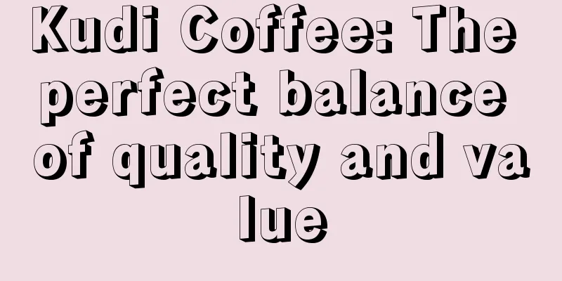 Kudi Coffee: The perfect balance of quality and value