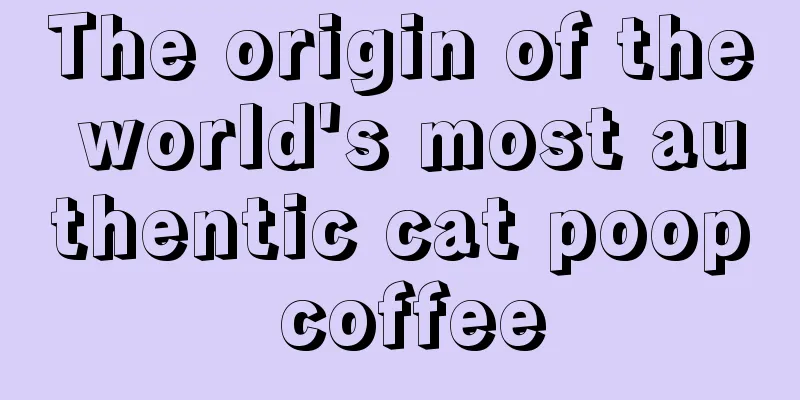 The origin of the world's most authentic cat poop coffee