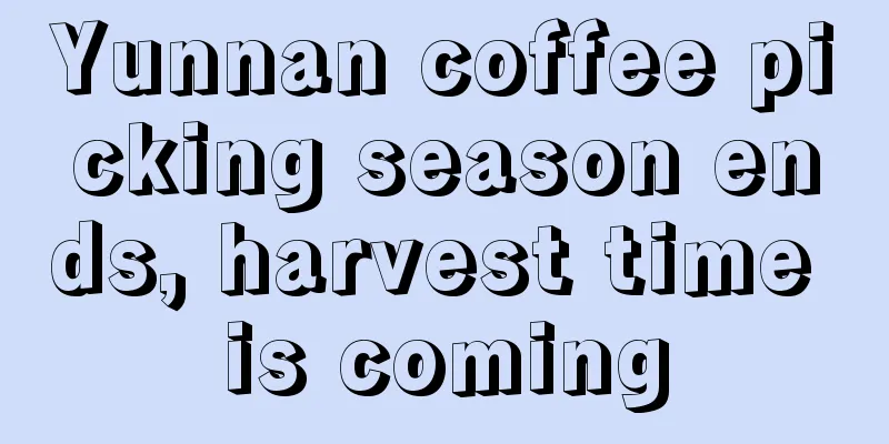 Yunnan coffee picking season ends, harvest time is coming