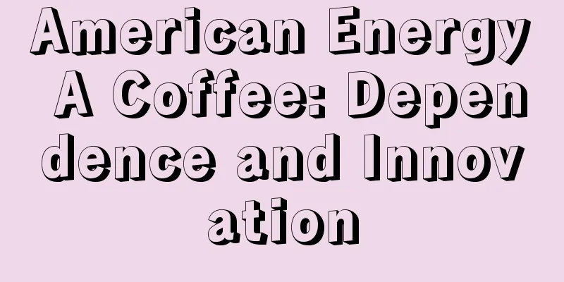 American Energy A Coffee: Dependence and Innovation