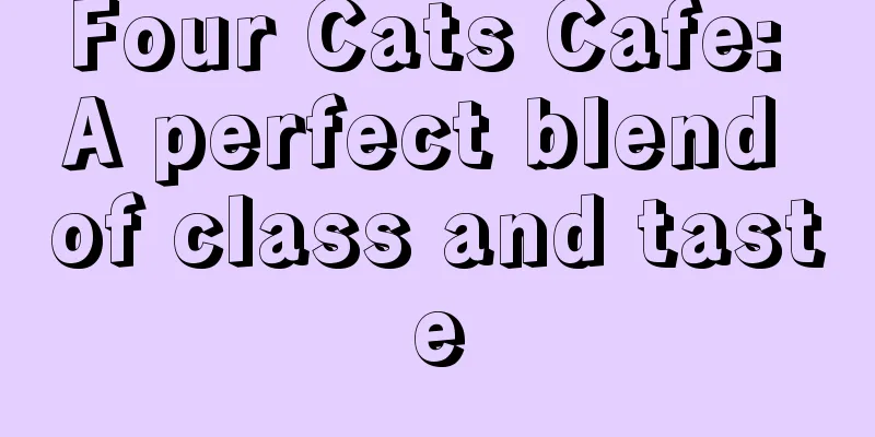 Four Cats Cafe: A perfect blend of class and taste