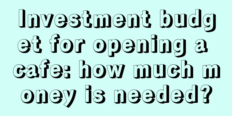 Investment budget for opening a cafe: how much money is needed?