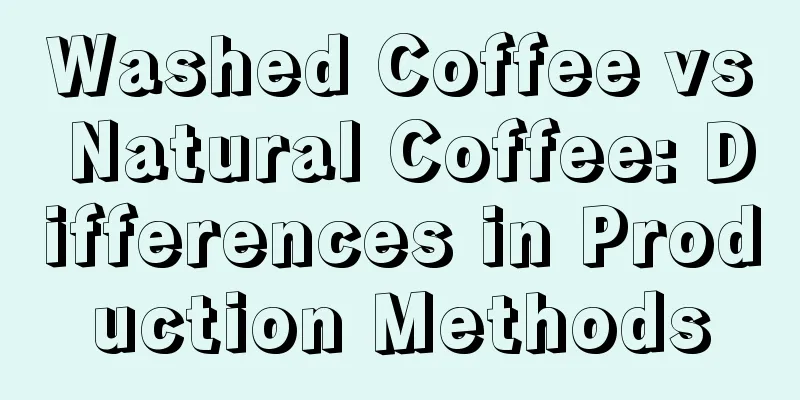 Washed Coffee vs Natural Coffee: Differences in Production Methods