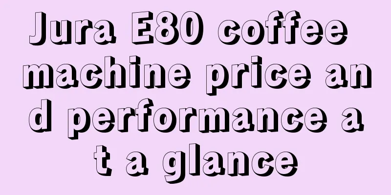 Jura E80 coffee machine price and performance at a glance