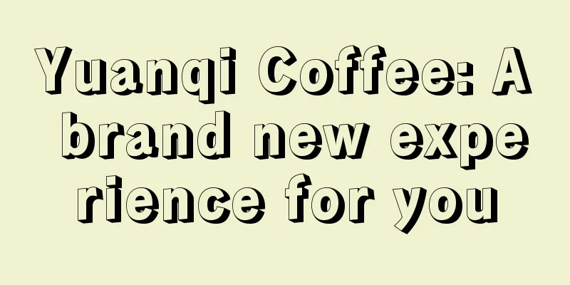 Yuanqi Coffee: A brand new experience for you