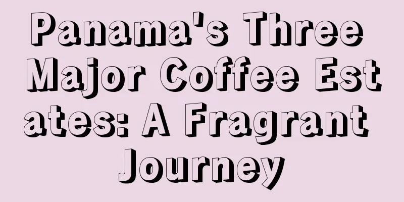 Panama's Three Major Coffee Estates: A Fragrant Journey