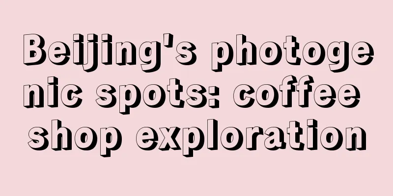 Beijing's photogenic spots: coffee shop exploration