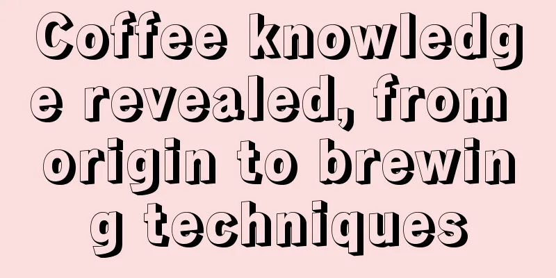 Coffee knowledge revealed, from origin to brewing techniques