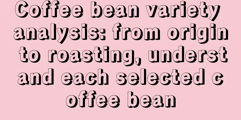 Coffee bean variety analysis: from origin to roasting, understand each selected coffee bean