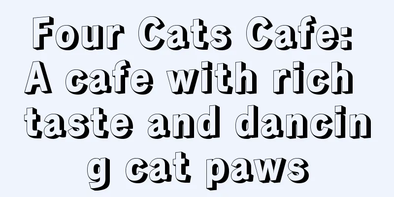 Four Cats Cafe: A cafe with rich taste and dancing cat paws