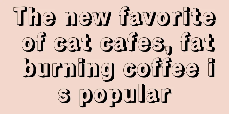 The new favorite of cat cafes, fat burning coffee is popular