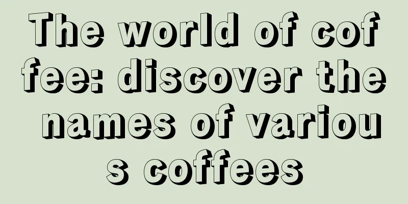 The world of coffee: discover the names of various coffees