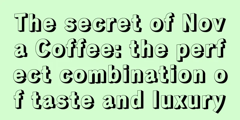 The secret of Nova Coffee: the perfect combination of taste and luxury