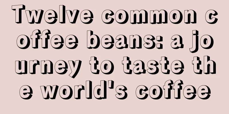 Twelve common coffee beans: a journey to taste the world's coffee