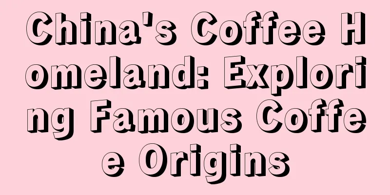 China's Coffee Homeland: Exploring Famous Coffee Origins