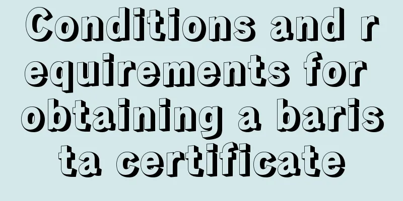 Conditions and requirements for obtaining a barista certificate